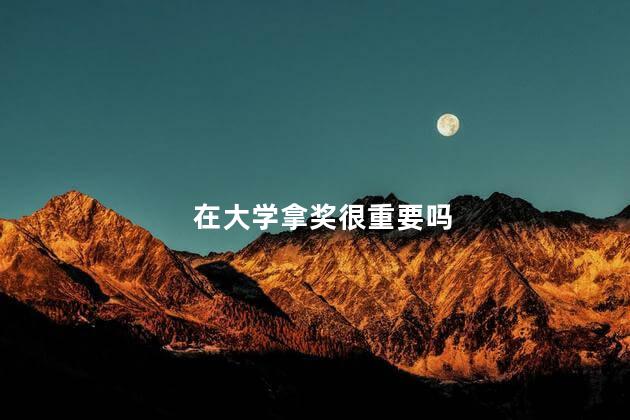 在大学拿奖很重要吗
