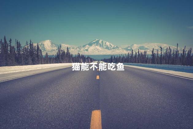 猫能不能吃鱼