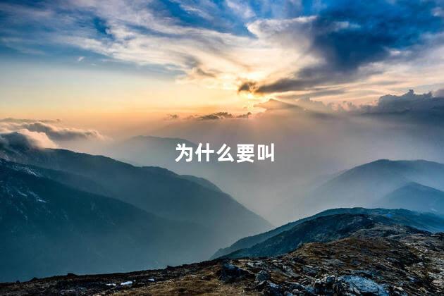 为什么要叫