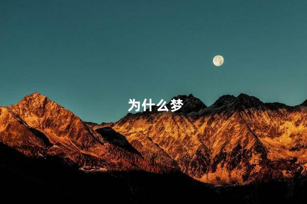为什么梦