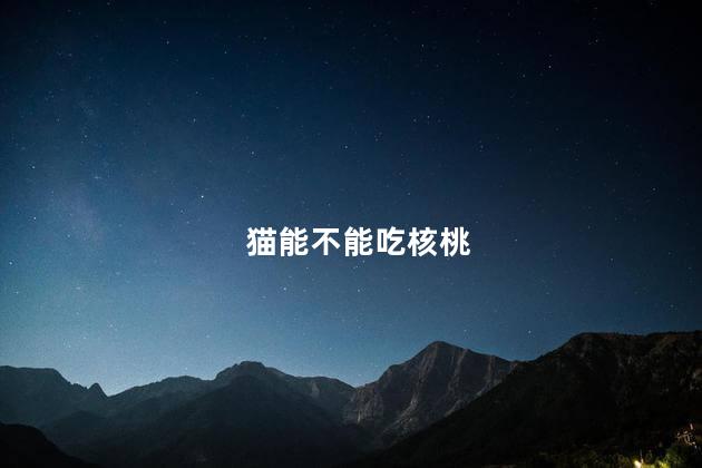猫能不能吃核桃
