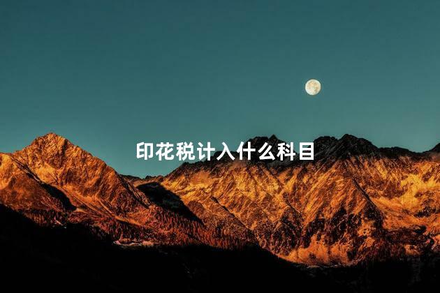 印花税计入什么科目