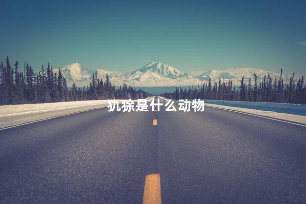 犰狳是什么动物