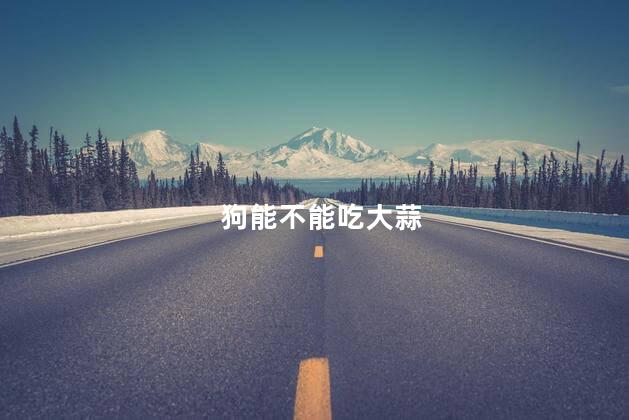 狗能不能吃大蒜