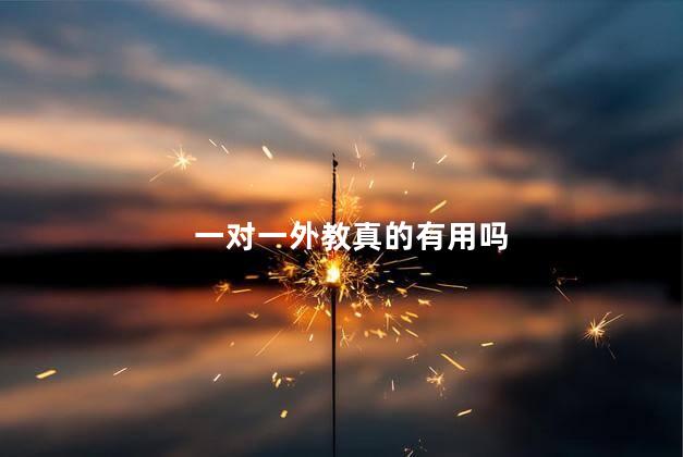 一对一外教真的有用吗