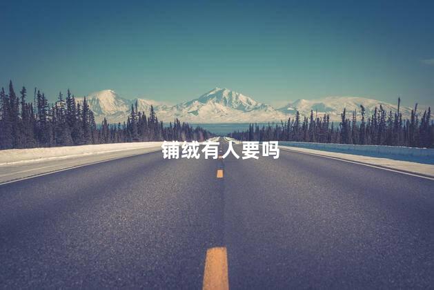 铺绒有人要吗