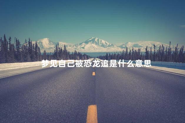 梦见自己被恐龙追是什么意思