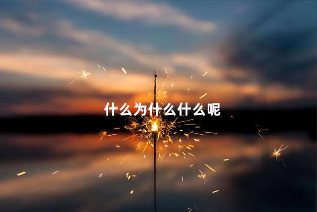 什么为什么什么呢