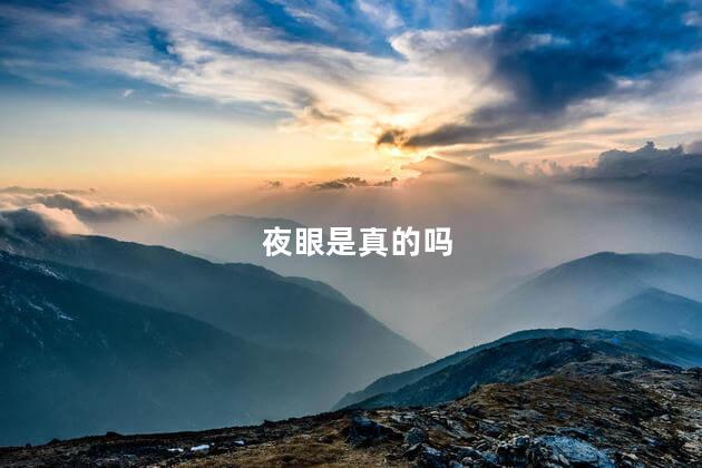 夜眼是真的吗