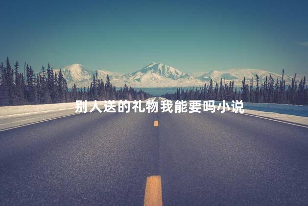 别人送的礼物我能要吗小说