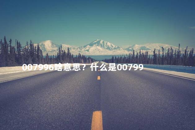 007996啥意思？什么是007996？解释一下。