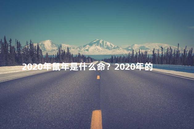 2020年鼠年是什么命？2020年的鼠年：什么命？