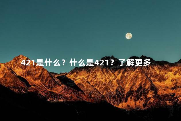 421是什么？什么是421？了解更多关于它的信息