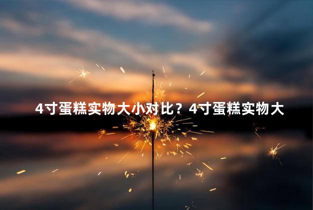 4寸蛋糕实物大小对比？4寸蛋糕实物大小对比一览