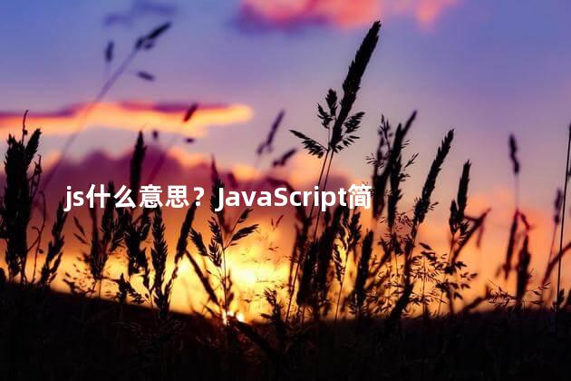js什么意思？JavaScript简介