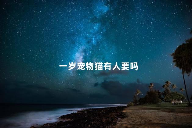 一岁宠物猫有人要吗
