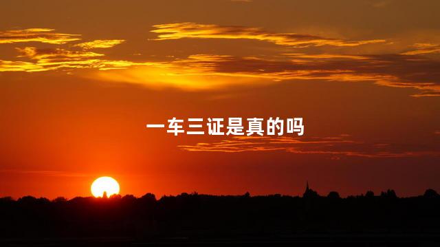 一车三证是真的吗