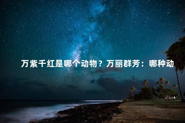 万紫千红是哪个动物？万丽群芳：哪种动物拥有万紫千红之美
