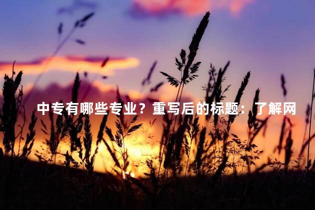 中专有哪些专业？重写后的标题：了解网站编辑写手的专业技能