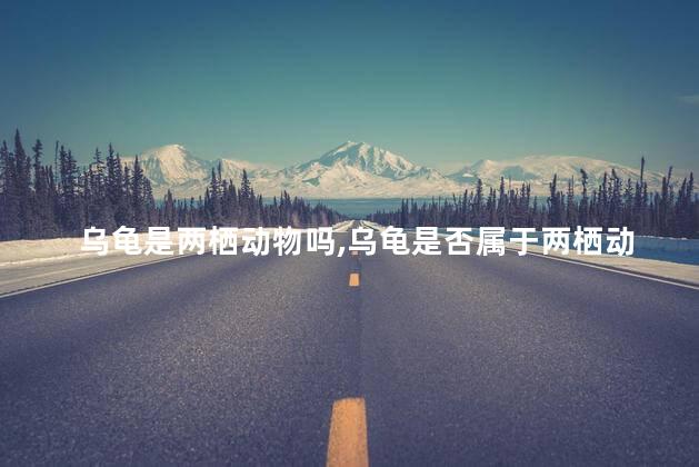 乌龟是两栖动物吗
