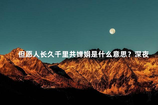 但愿人长久千里共婵娟是什么意思？深夜里，相遇于皓月下（新标题）
