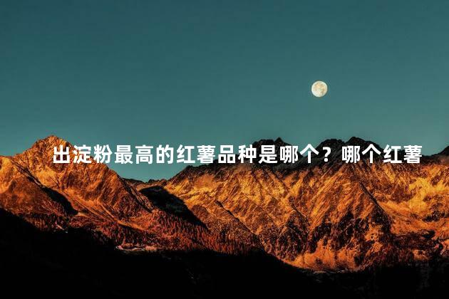 出淀粉最高的红薯品种是哪个？哪个红薯品种淀粉含量最高？专家点评！
