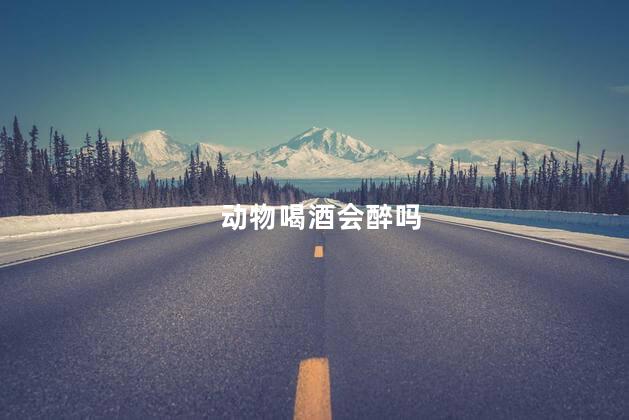 动物喝酒会醉吗，动物会喝酒吗