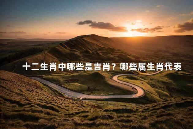 十二生肖中哪些是吉肖？哪些属生肖代表好运？