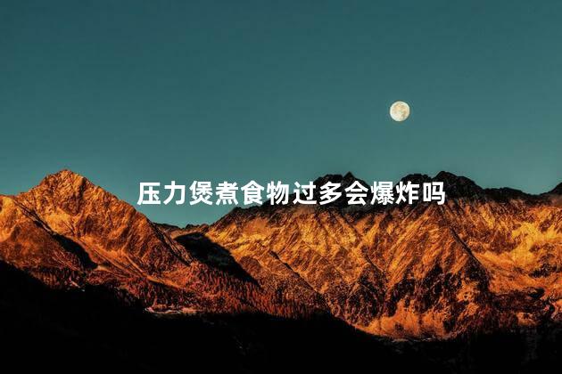 压力煲煮食物过多会爆炸吗，高压锅炖肉太满会有危险吗