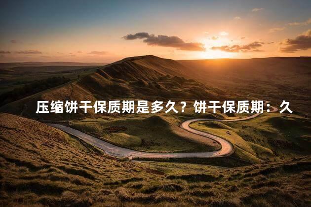 压缩饼干保质期是多久？饼干保质期：久可长达多久