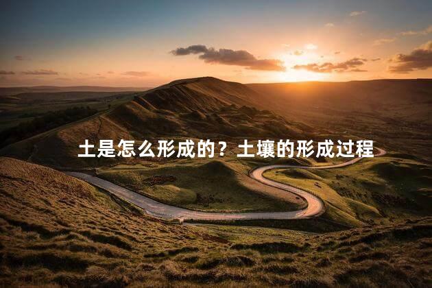 土是怎么形成的？土壤的形成过程