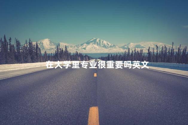 在大学里专业很重要吗英文