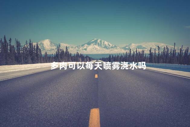 多肉可以每天喷雾浇水吗