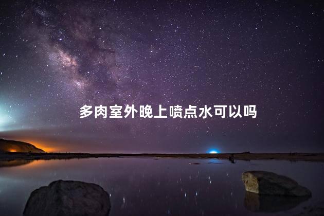 多肉室外晚上喷点水可以吗