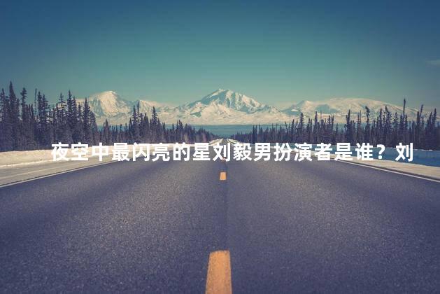 夜空中最闪亮的星刘毅男扮演者是谁？刘毅男扮演者揭晓，网友热议新星！