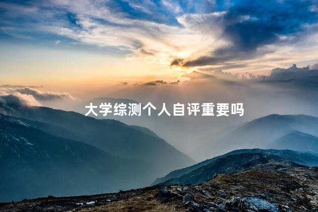 大学综测个人自评重要吗