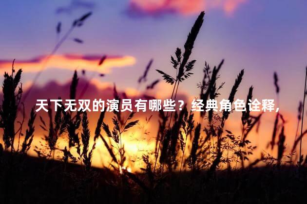 天下无双的演员有哪些？经典角色诠释，天下无双演员一览