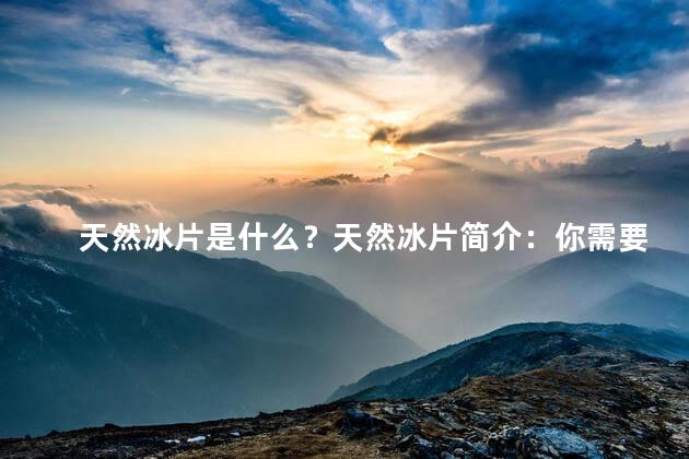 天然冰片是什么？天然冰片简介：你需要了解的一切