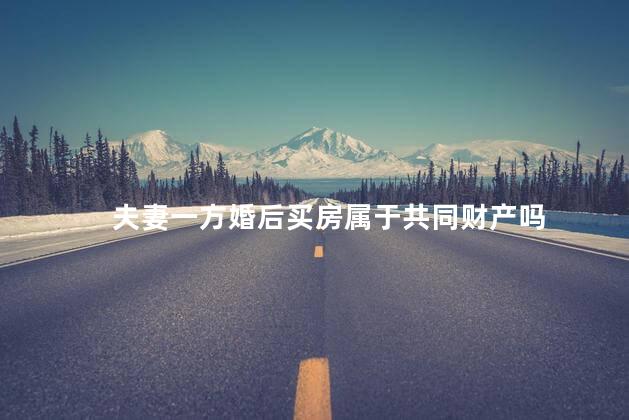 夫妻一方婚后买房属于共同财产吗