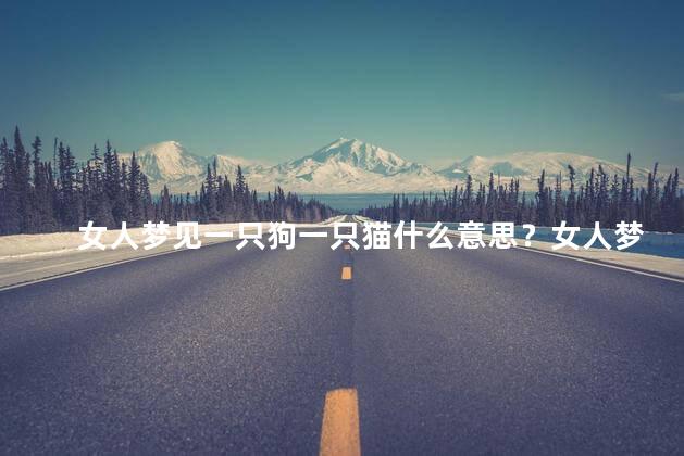 女人梦见一只狗一只猫什么意思？女人梦见狗和猫，究竟意味着什么？
