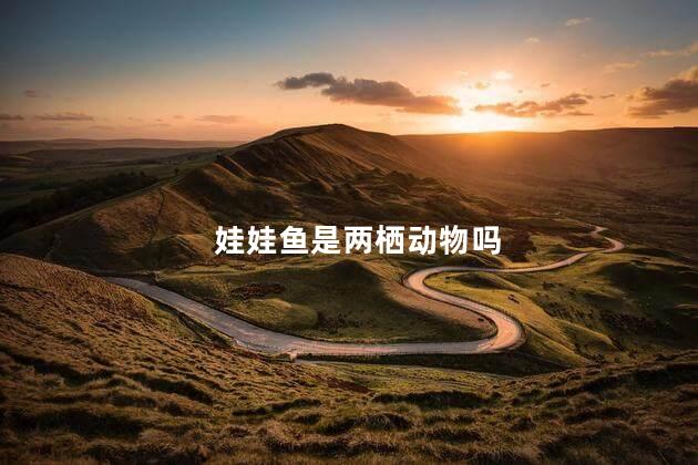 娃娃鱼是两栖动物吗
