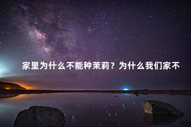 家里为什么不能种茉莉？为什么我们家不适合种茉莉