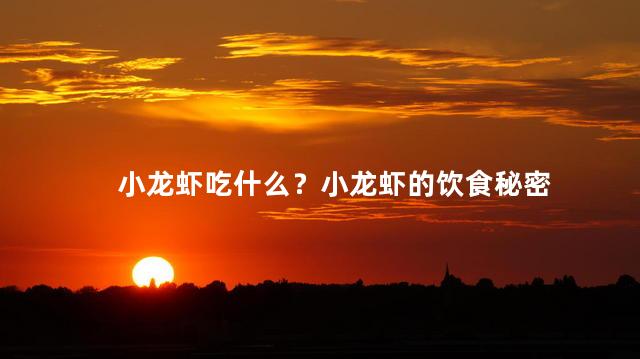 小龙虾吃什么？小龙虾的饮食秘密