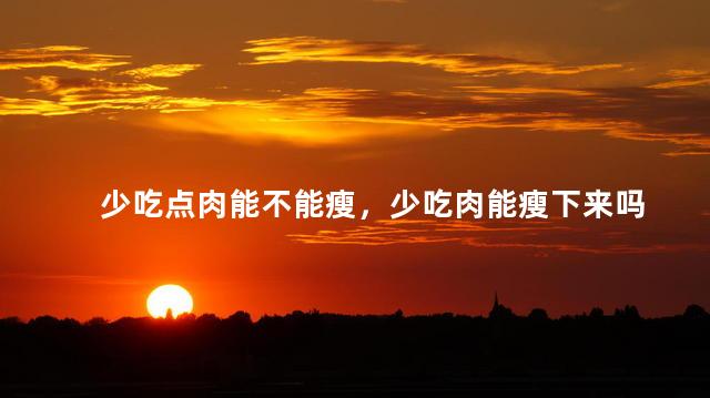 少吃点肉能不能瘦，少吃肉能瘦下来吗
