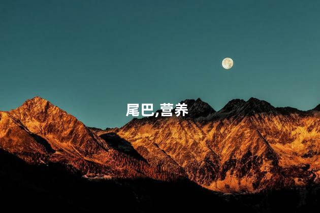 牛尾巴的功效与作用？牛尾巴的益处与应用