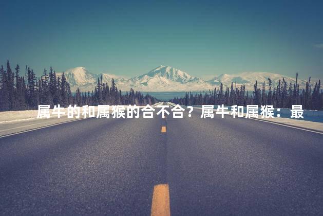 属牛的和属猴的合不合？属牛和属猴：最佳组合还是会发生奇妙的化学反应