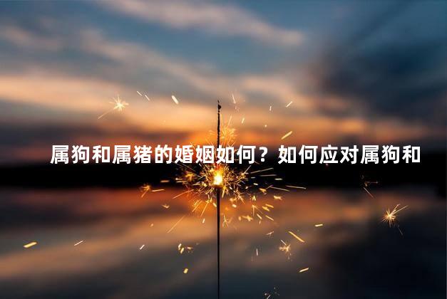 属狗和属猪的婚姻如何？如何应对属狗和属猪婚姻的挑战