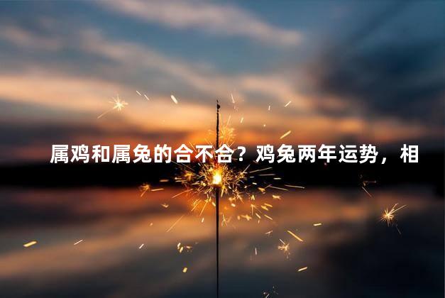 属鸡和属兔的合不合？鸡兔两年运势，相遇是否合宜？