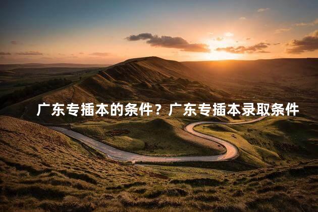 广东专插本的条件？广东专插本录取条件全解析