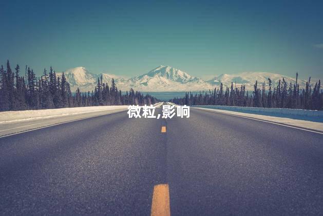 用过微粒贷影响房贷吗？微粒贷对房贷是否有影响？解读一下。